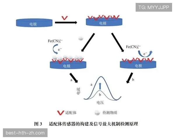 萨卡表现稳定性背后的战术适配与技术特点